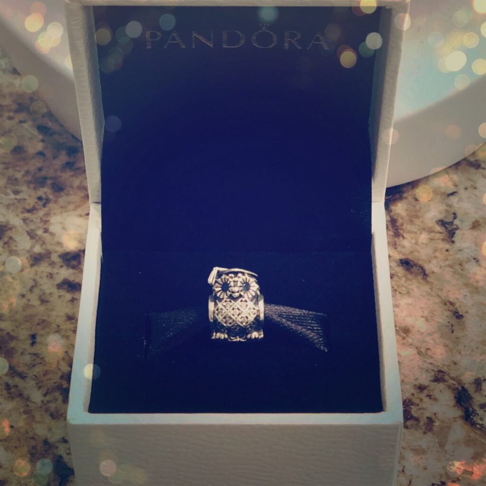 Pandora Owl Graduation Charm